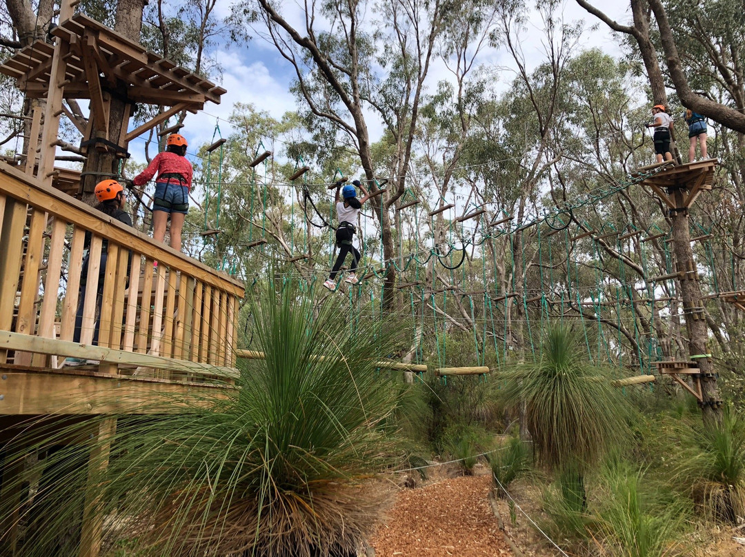 Treetops Adventure Yanchep景点图片