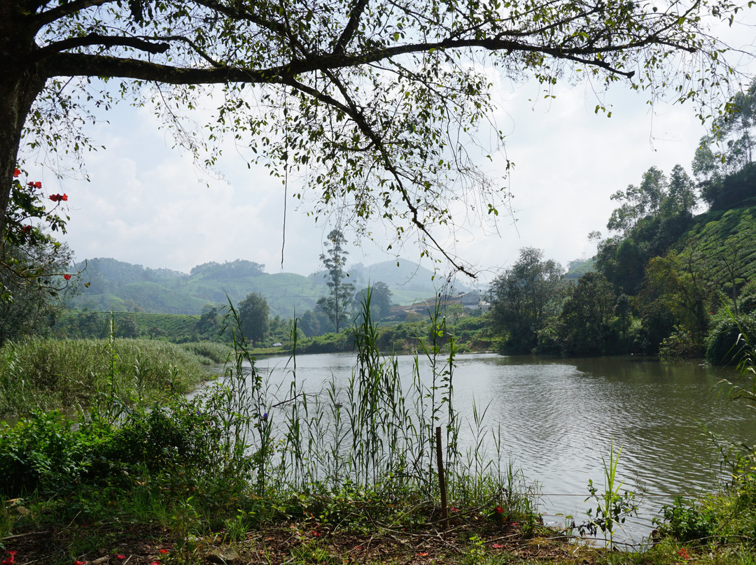 Blossom Hydel Park景点图片