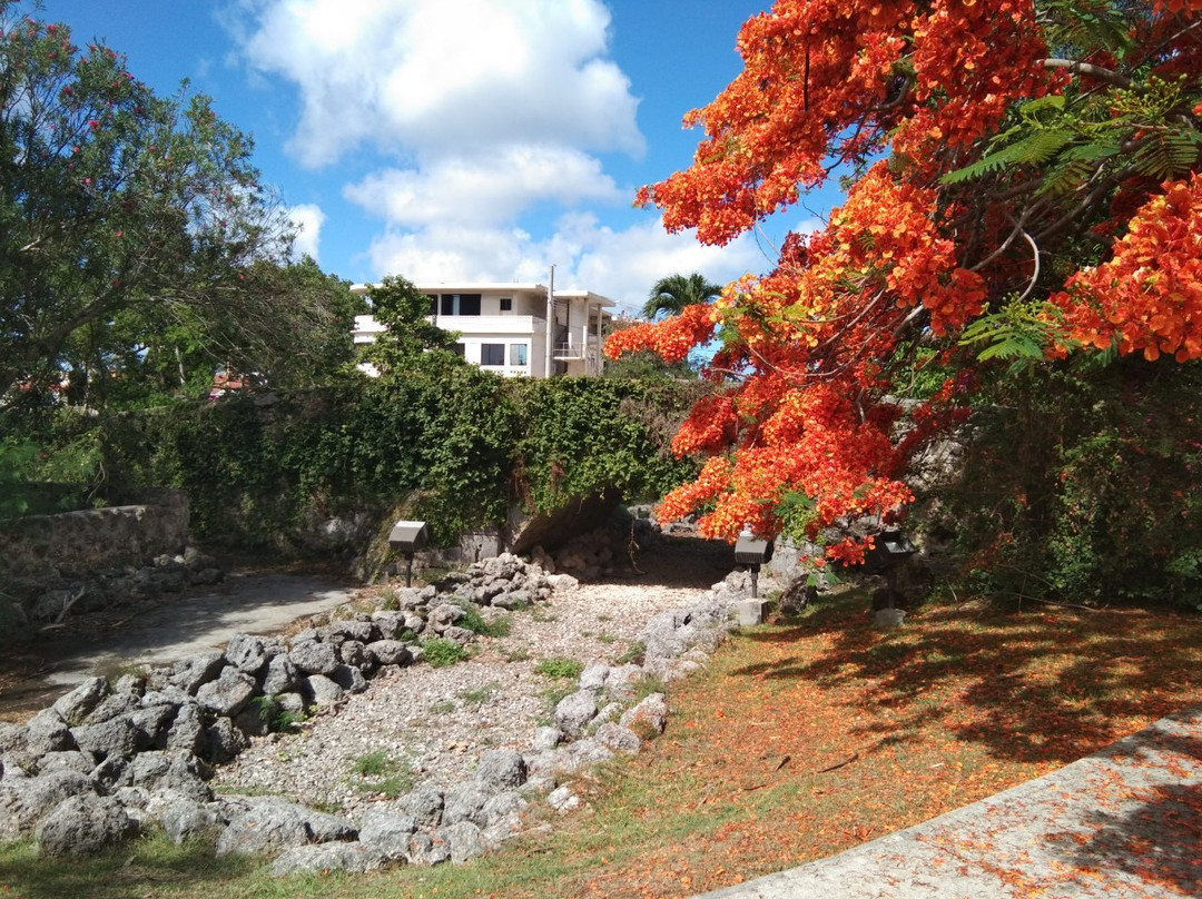San Antonio Bridge-塔穆宁必去景点