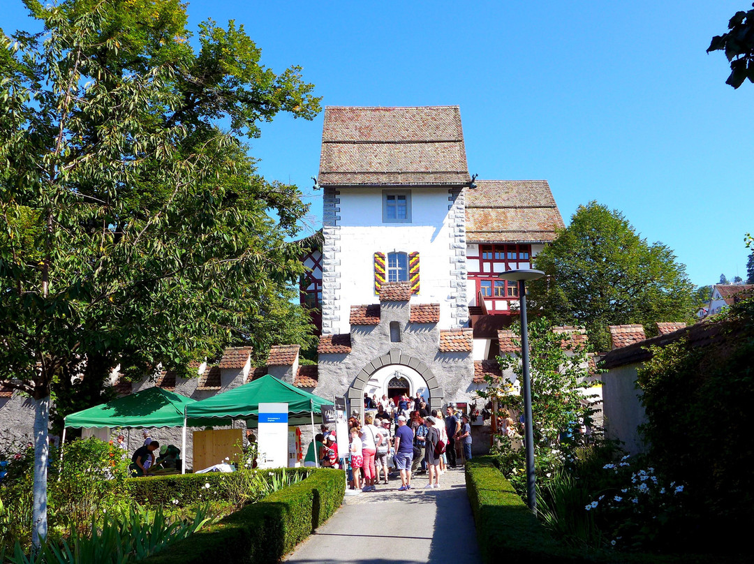 Museum Burg Zug-楚格必去景点