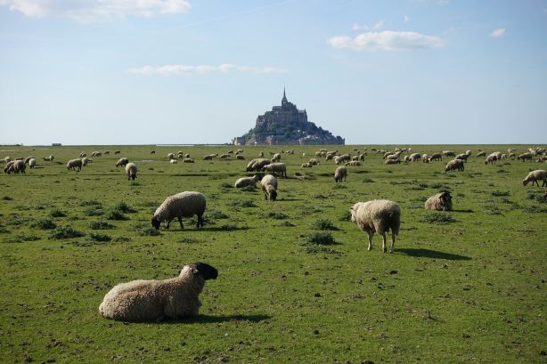 Chambres d'hôtes la Rive - le Mont Saint Michel-官方