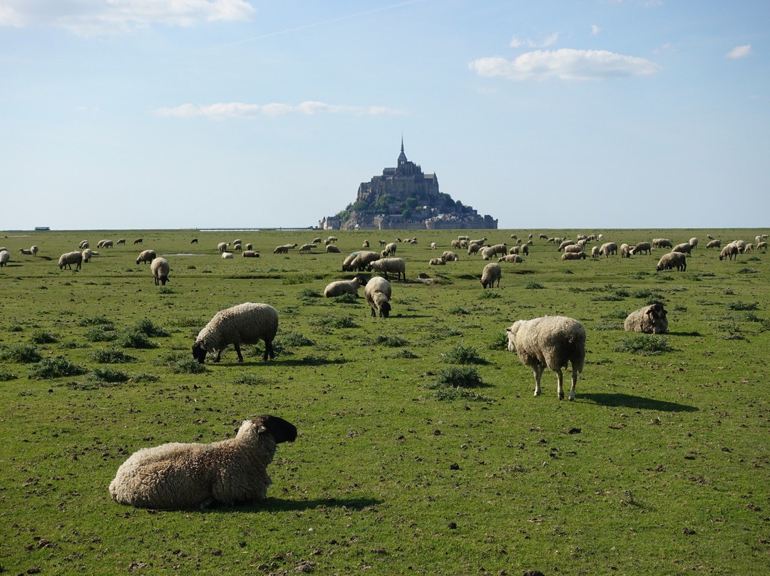 La Rive Le Mont-Saint-Michel主图