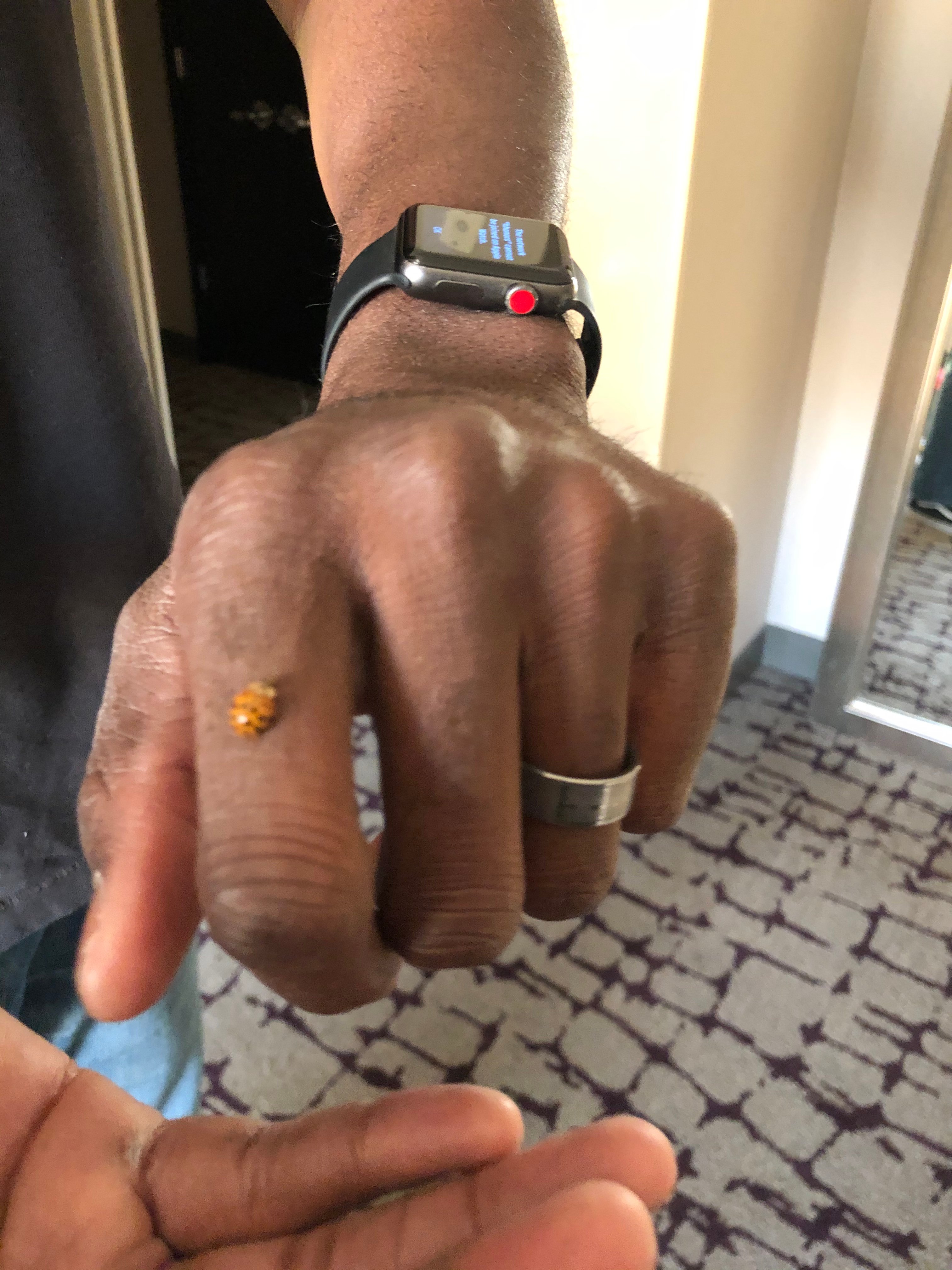 DoubleTree by Hilton Hotel Baton Rouge-portrait