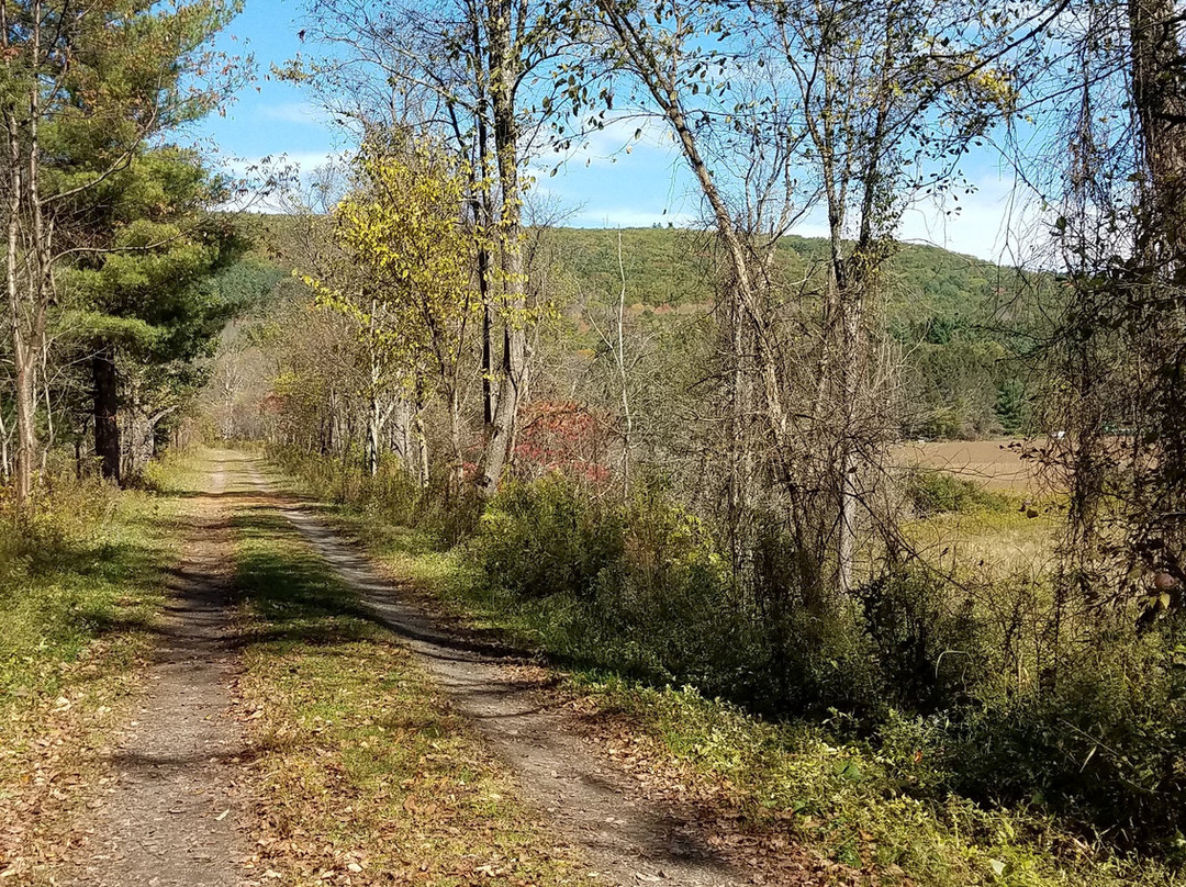 Robert V Riddell State Park-Oneonta必去景点