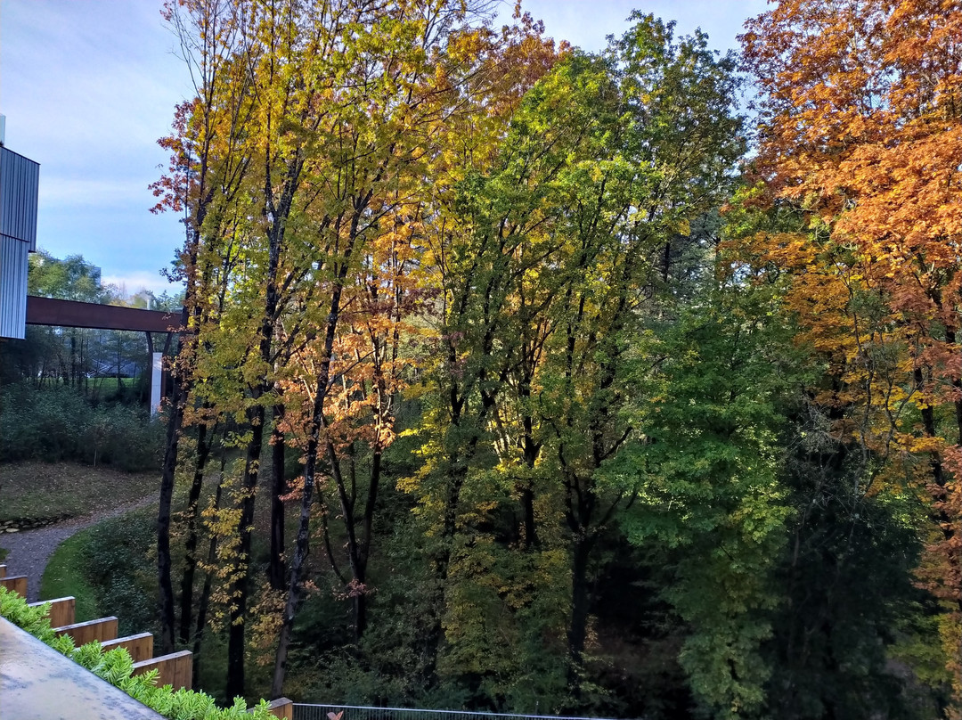 Arima Hotel & Spa主图