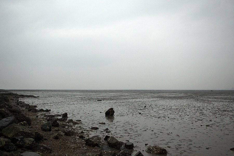 Tando Port-安山市必去景点