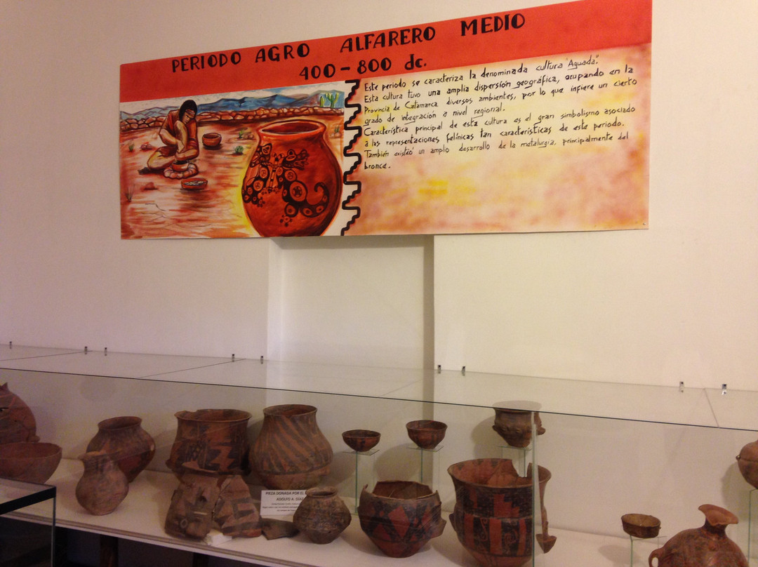 Museo Tulio Robaudi景点图片