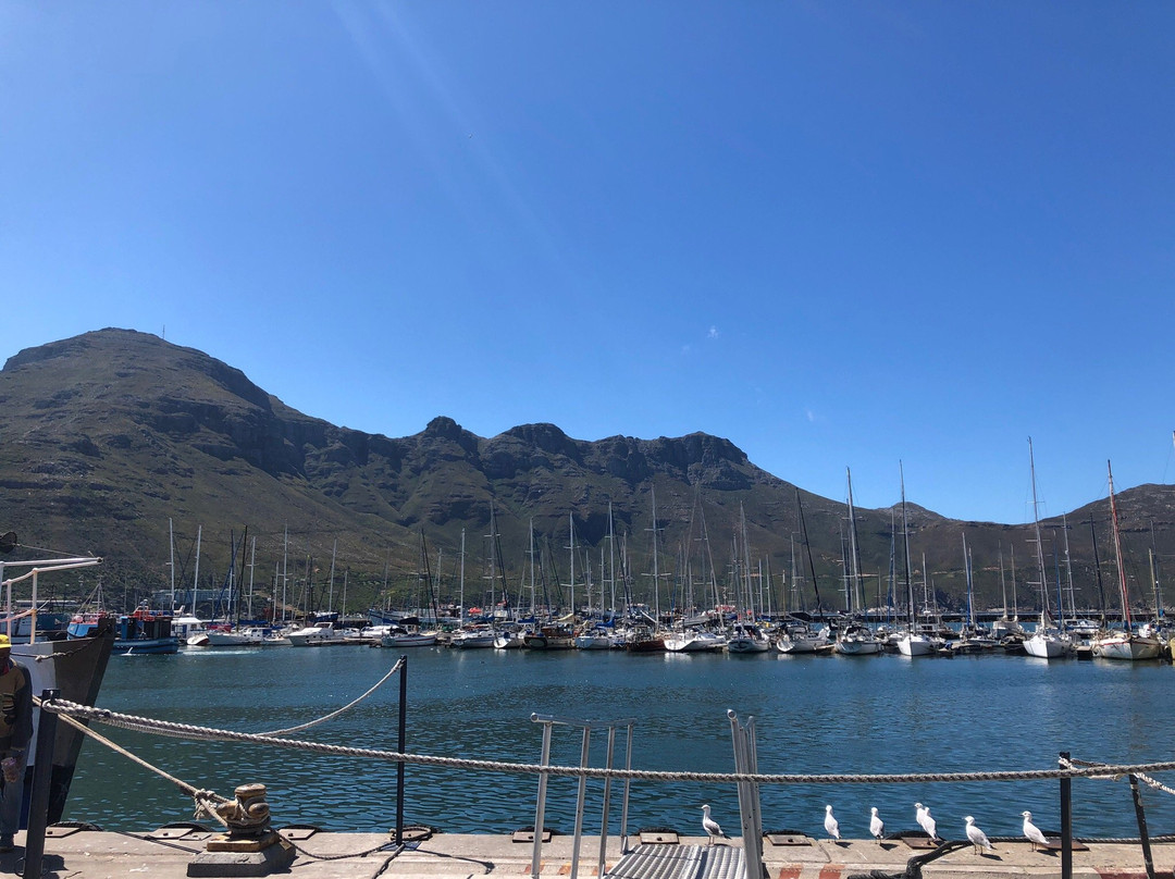 Seascape Tours-开普敦必去景点