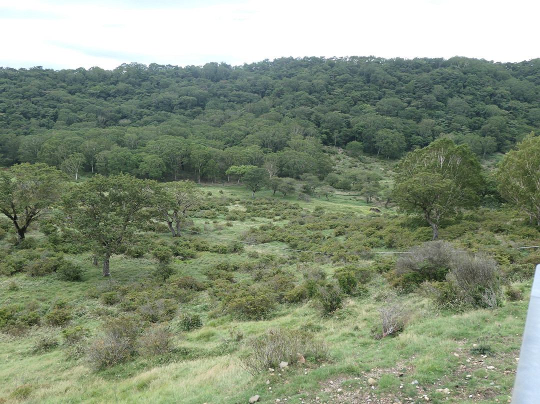 Akagisan General Tourism Information Cneter-前桥县必去景点