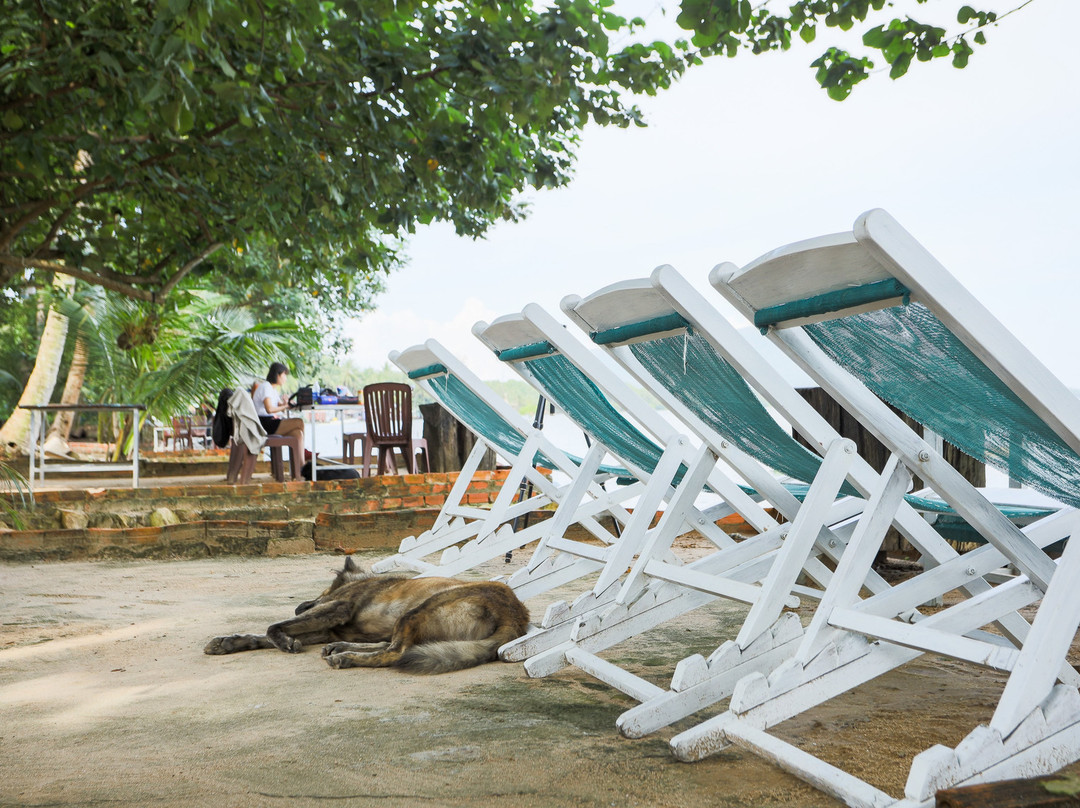 Local Beach Phu Quoc主图