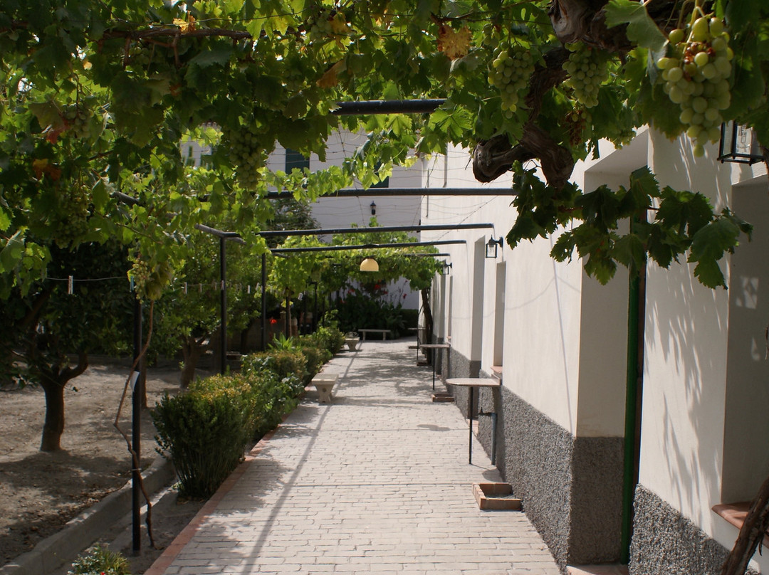 Finca La Cañota主图