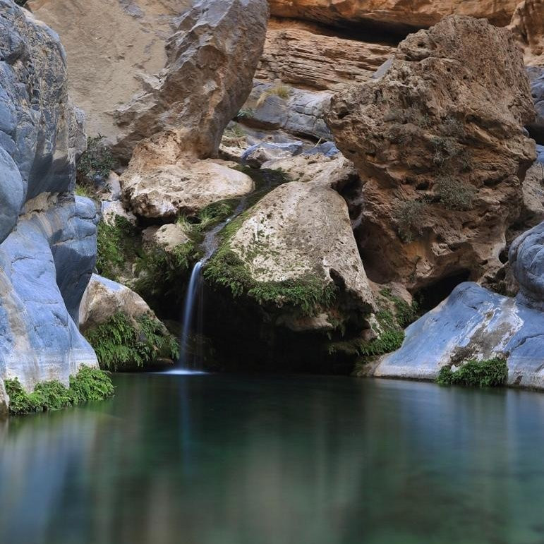 Basmat Almisfah主图