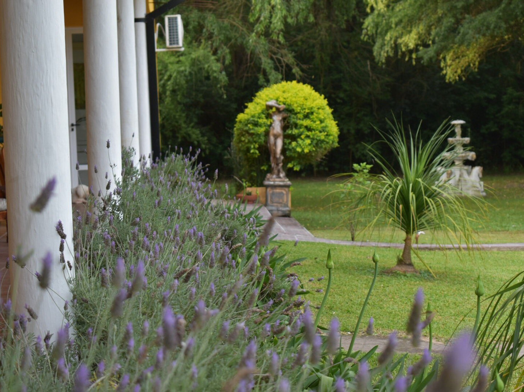 Complejo Don Juan主图