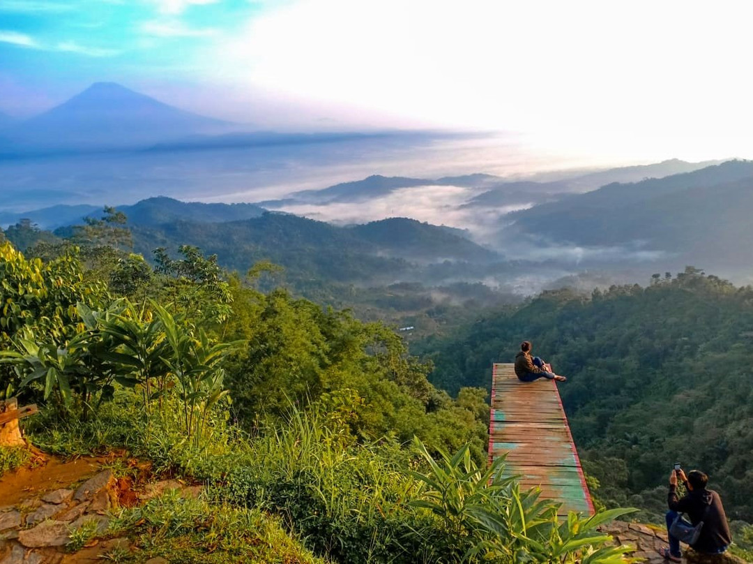 Nglinggo Tea Plantation-Kulon Progo必去景点