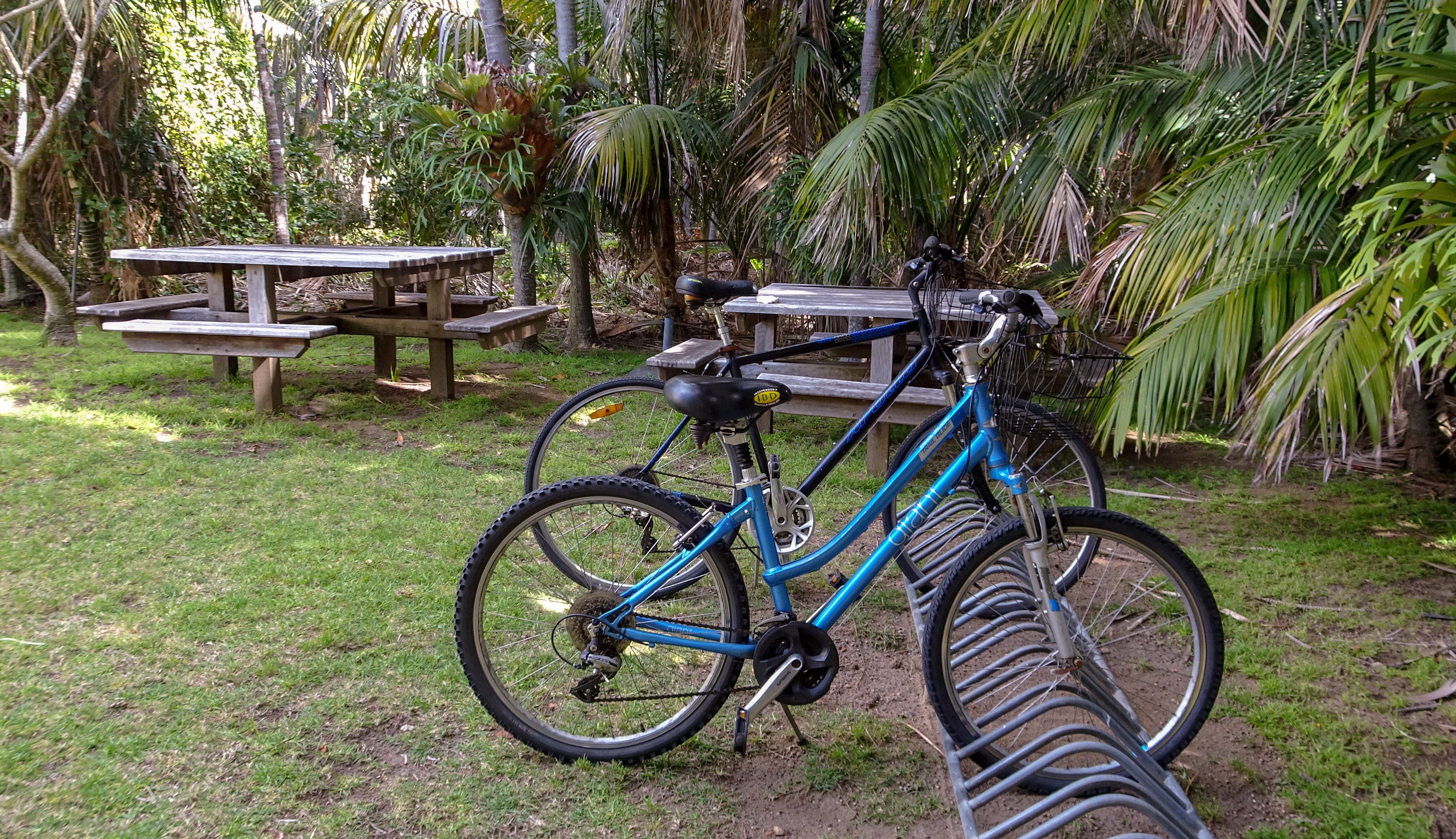 Somerset Apartments Lord Howe Island-浴室