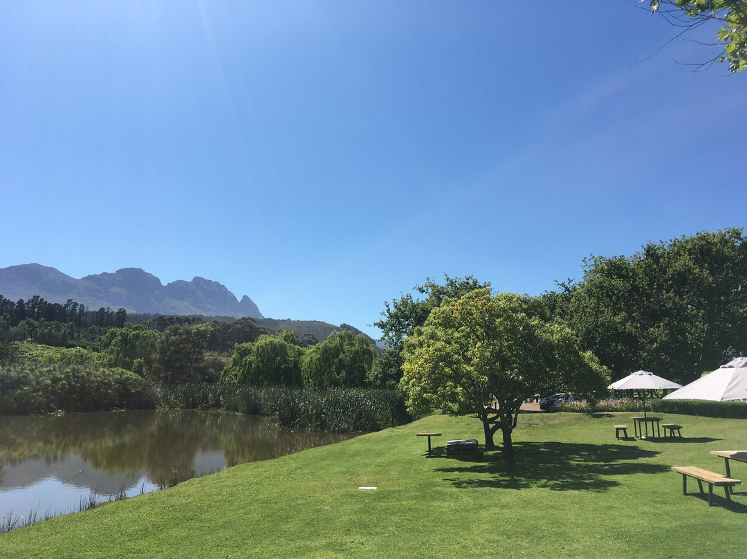 L'Avenir Country Lodge主图