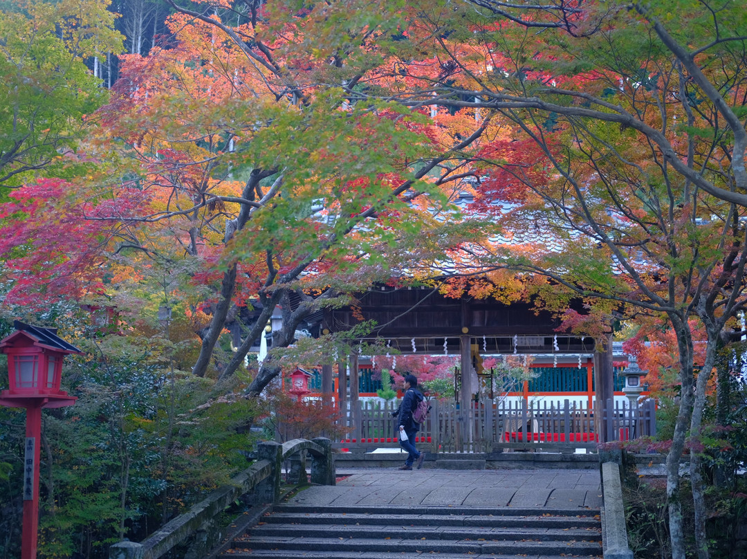 Kuwayama Shrine-龟冈市必去景点