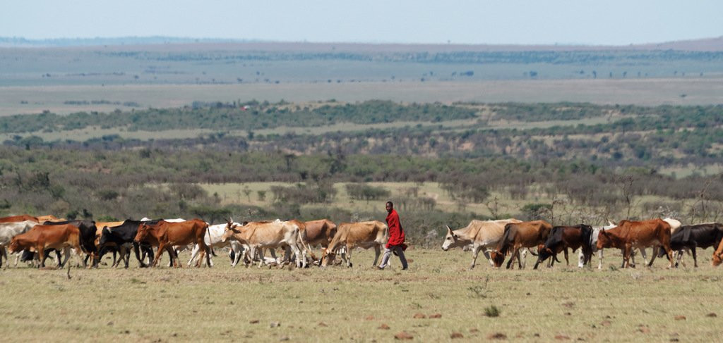 Ol Kinyei Conservancy-马赛马拉国家野生动物保护区必去景点