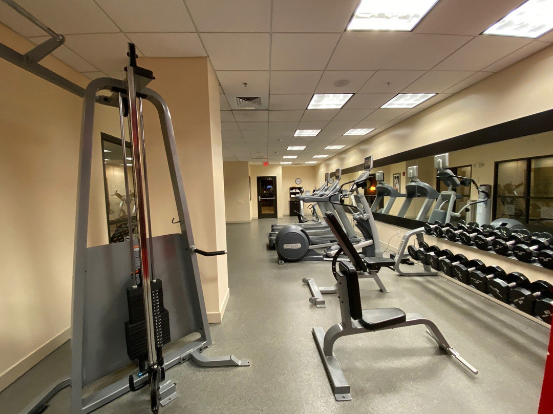 纽约州奥尔巴尼医疗中希尔顿花园酒店主图