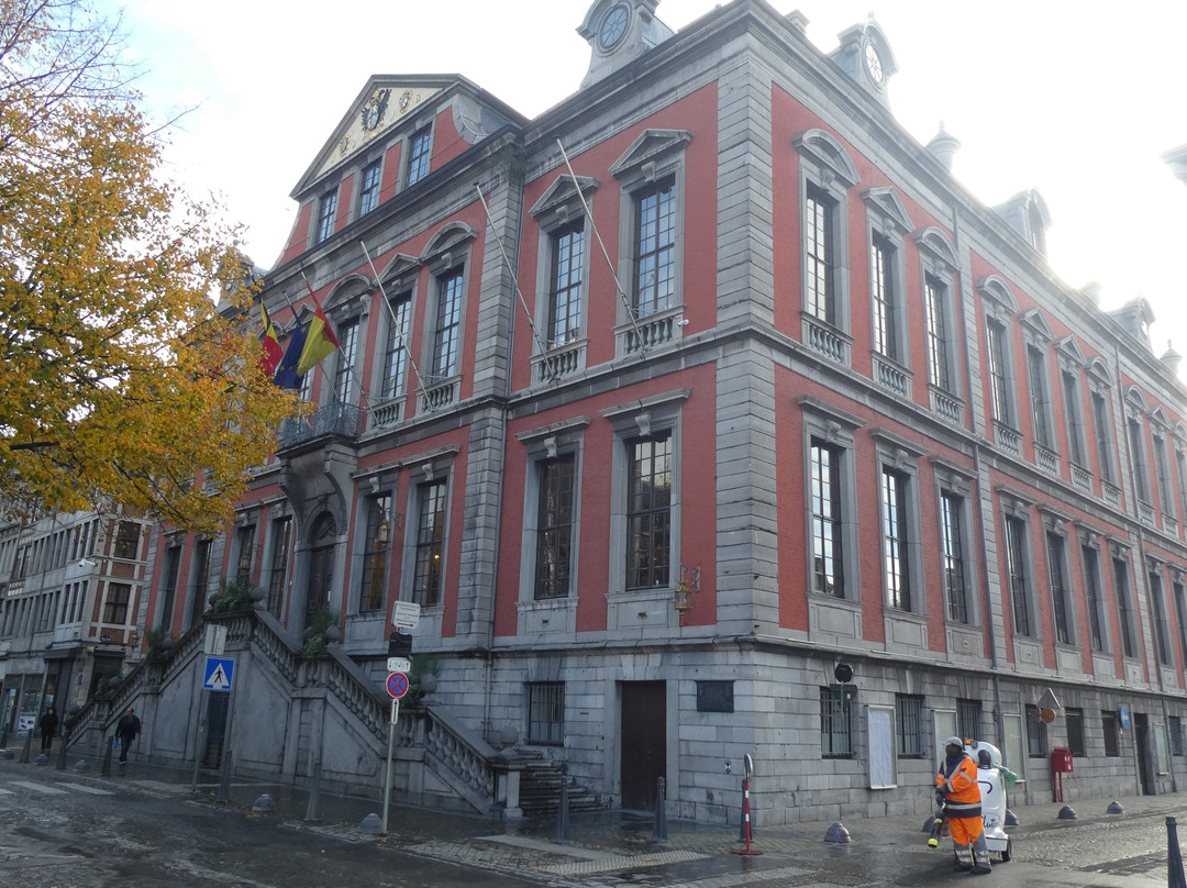 Liège City Hall景点图片