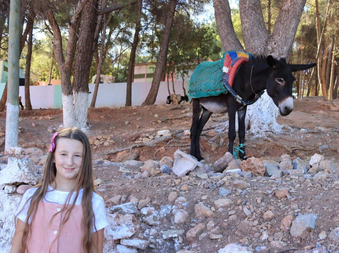 Maroko z Abdulem-阿加迪尔必去景点