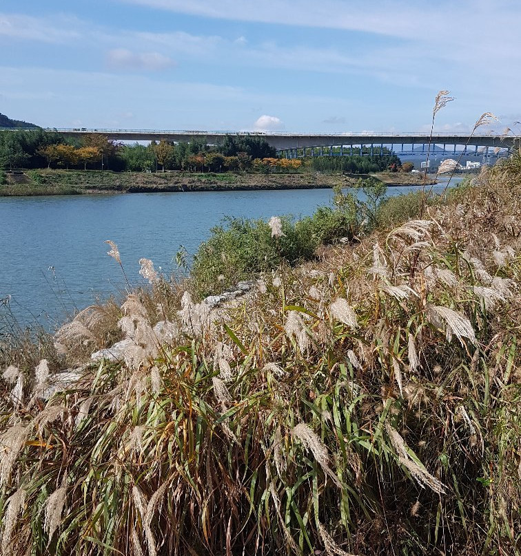 Taehwa River Seepri Bamboo Grove-蔚山必去景点