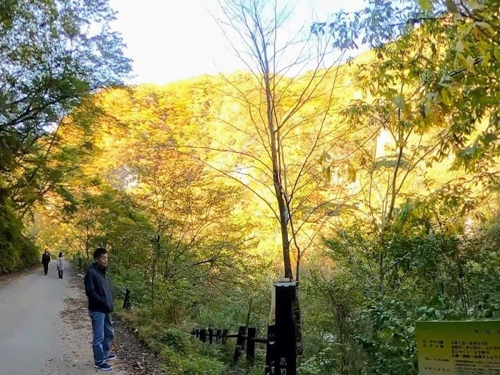 Befukyo Canyon-香美市必去景点