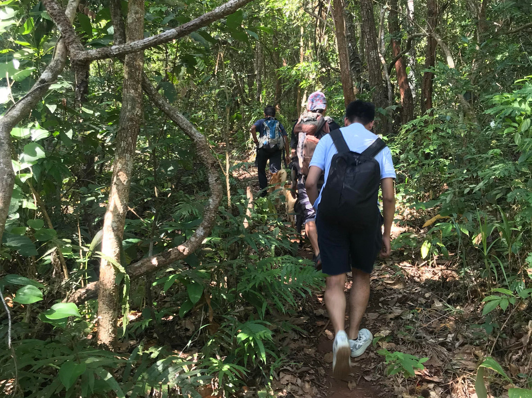 Thai Eco Trek Adventure景点图片
