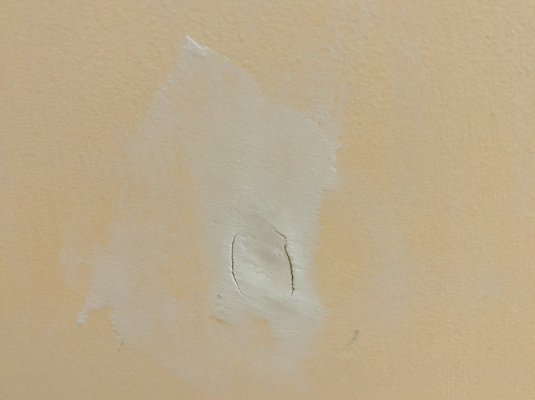 蓝色海豚旅馆主图