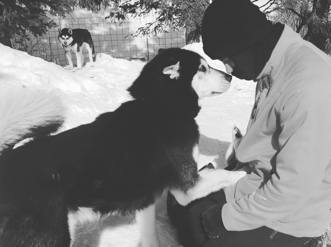 Gîte Aux jardins de l'Anse主图