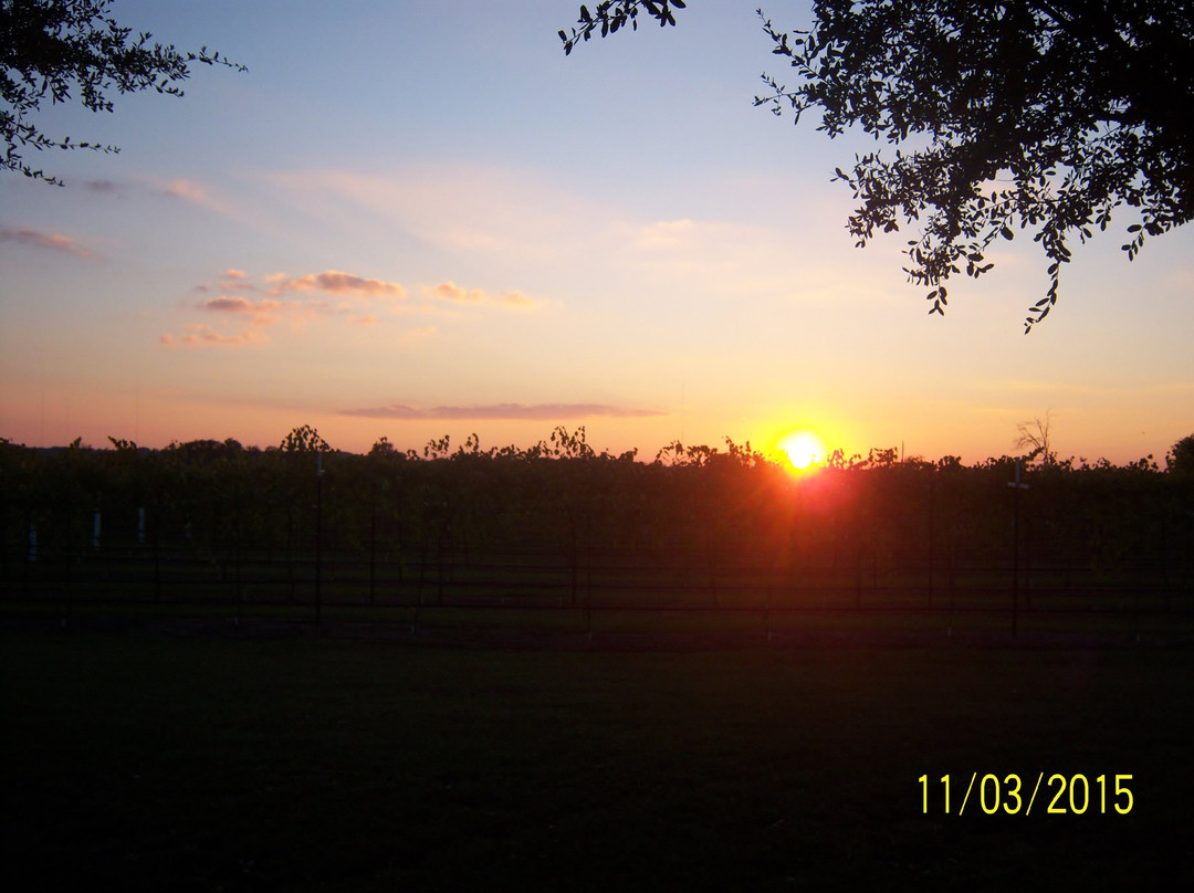 Country Spring Vineyard And Wine Garden景点图片