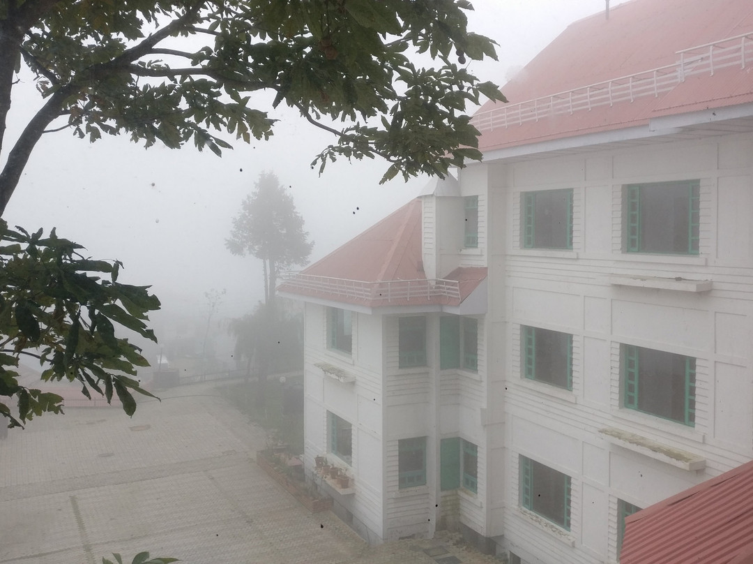 The Apple Blossom主图