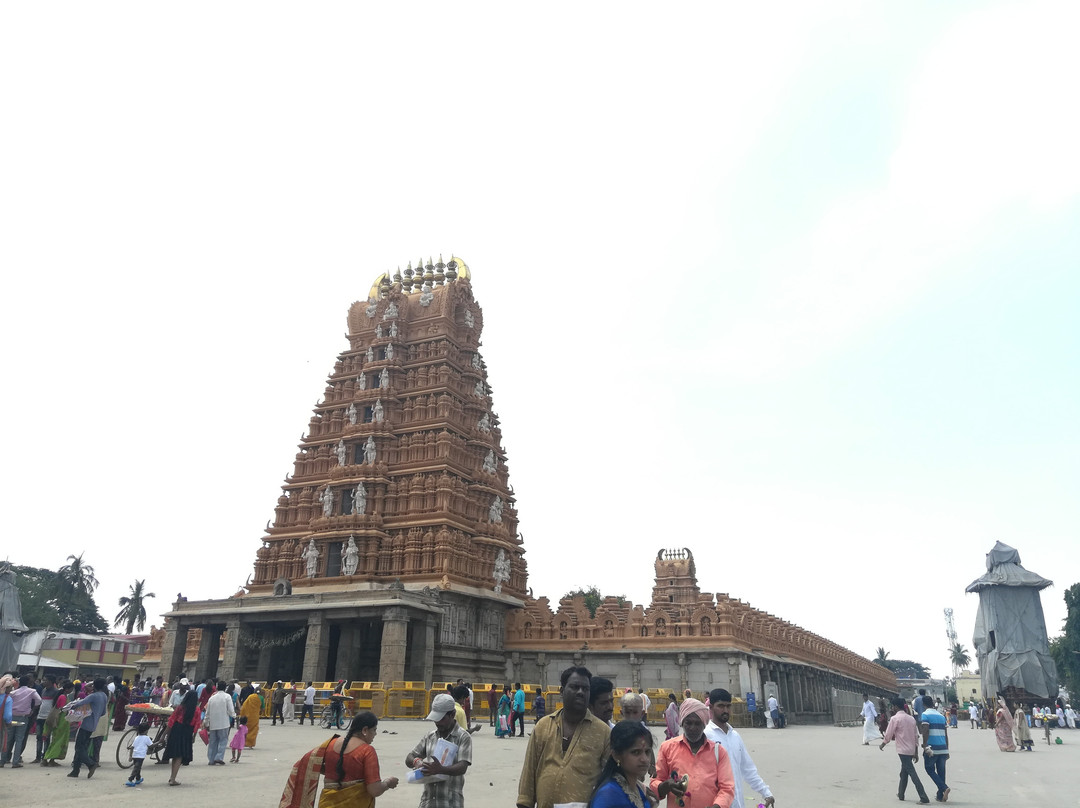 Sri Srikanteshwara Temple景点图片