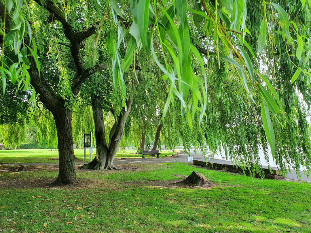 Linlithgow Palace And Loch Circular Walk