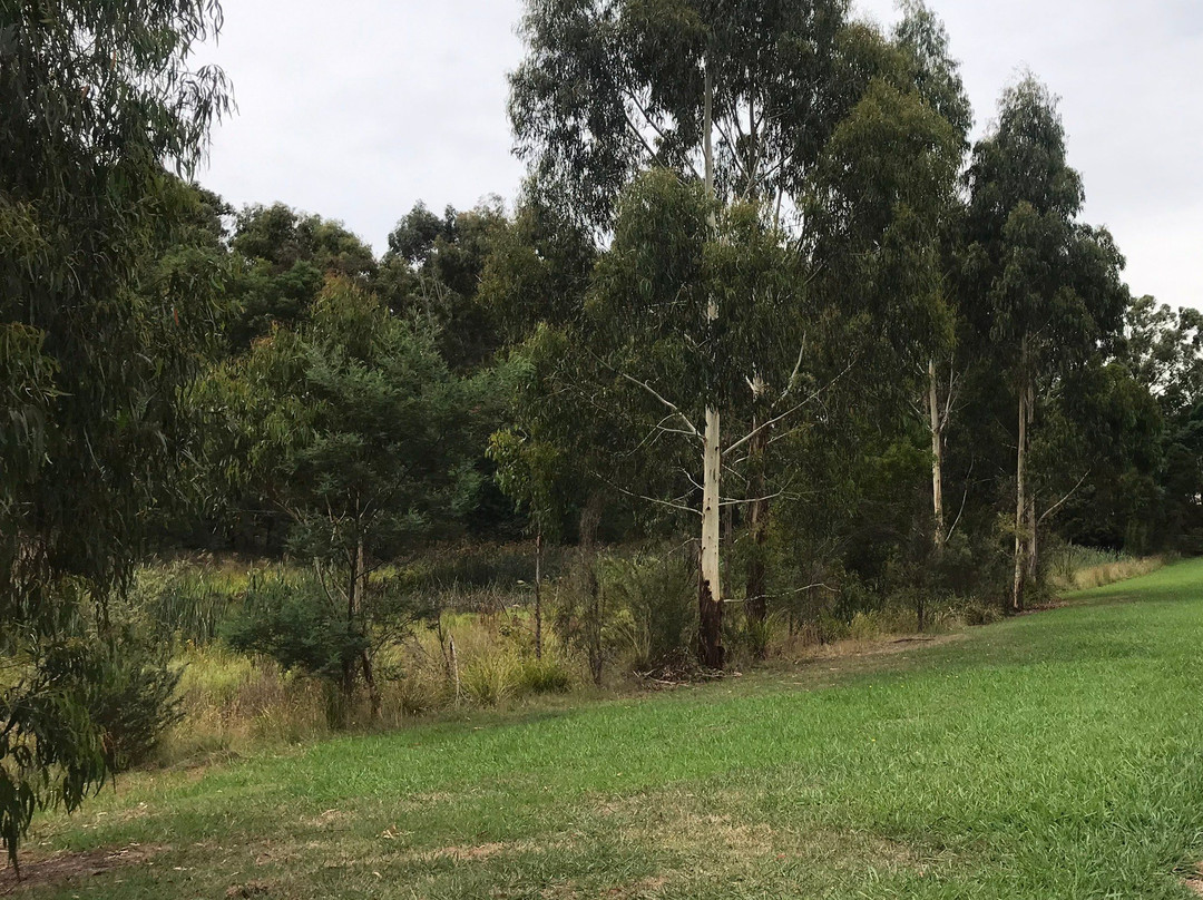 Hull Road Wetlands-Lilydale必去景点