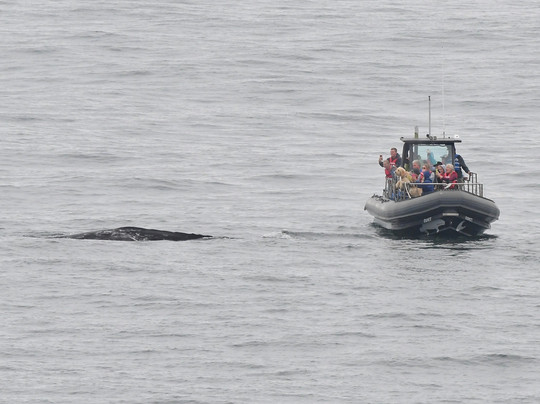The Whale Watching Center-Depoe Bay必去景点