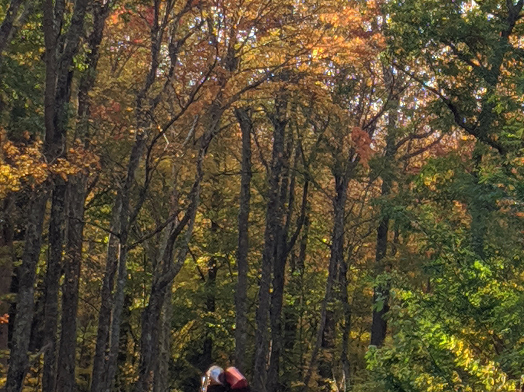 Great Smoky Mountains National Park-盖林柏格必去景点