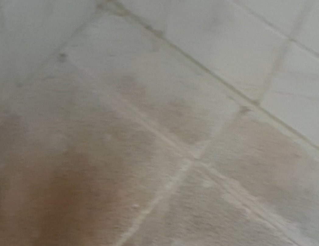 最佳西方莫宁顿布鲁克兰酒店主图