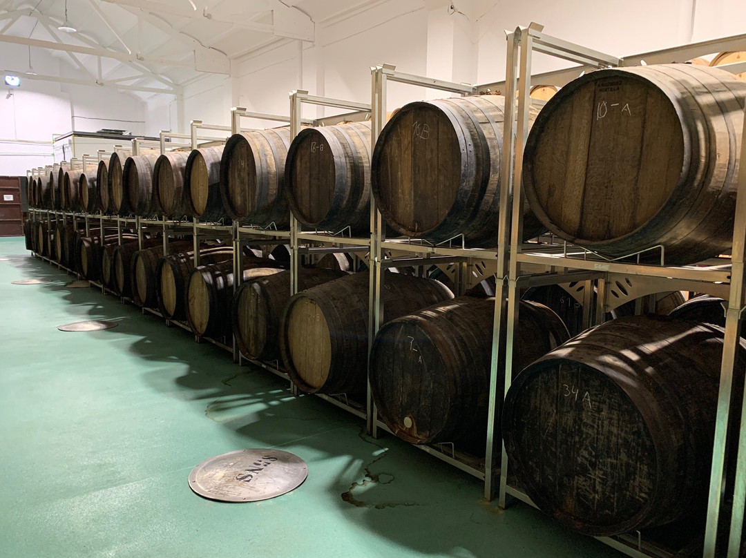 Bodega Cuatro Rayas景点图片