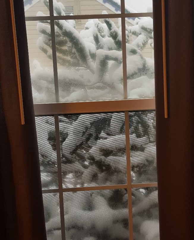 跳舞熊酒店主图