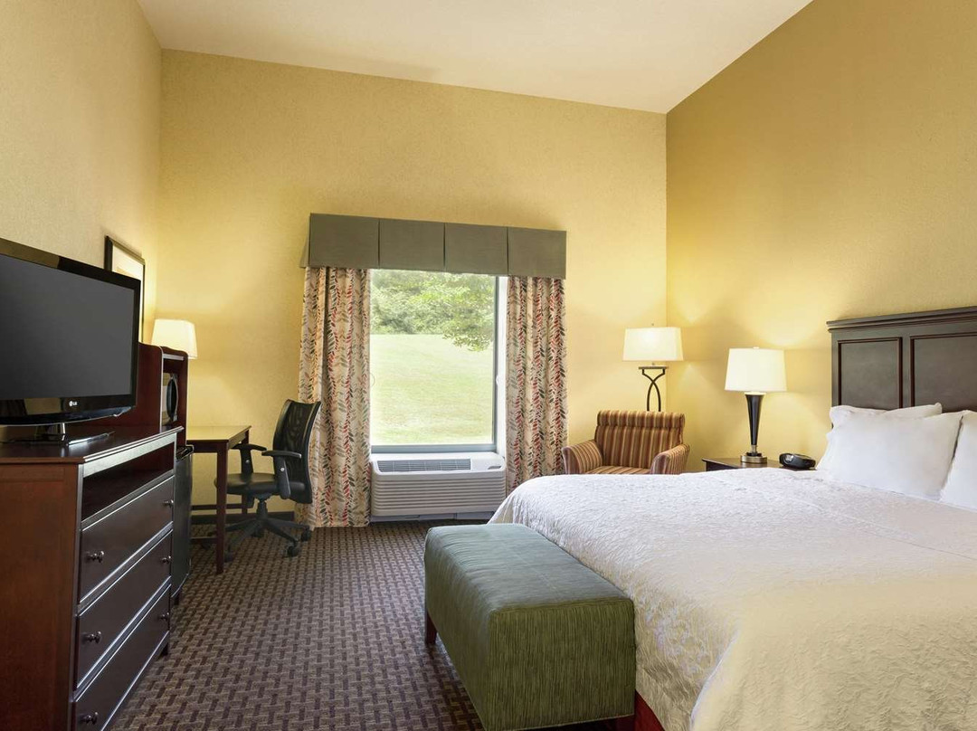 Hampton Inn & Suites Prattville主图