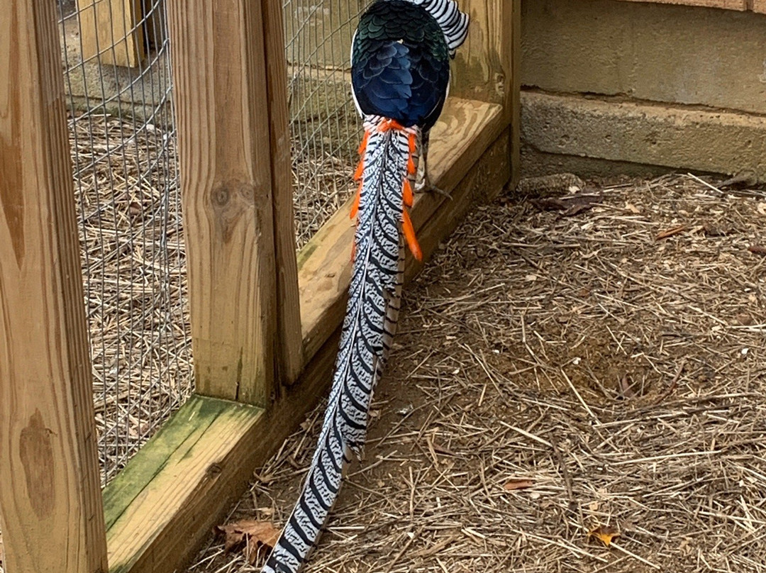 Green Hill Park-伍斯特必去景点