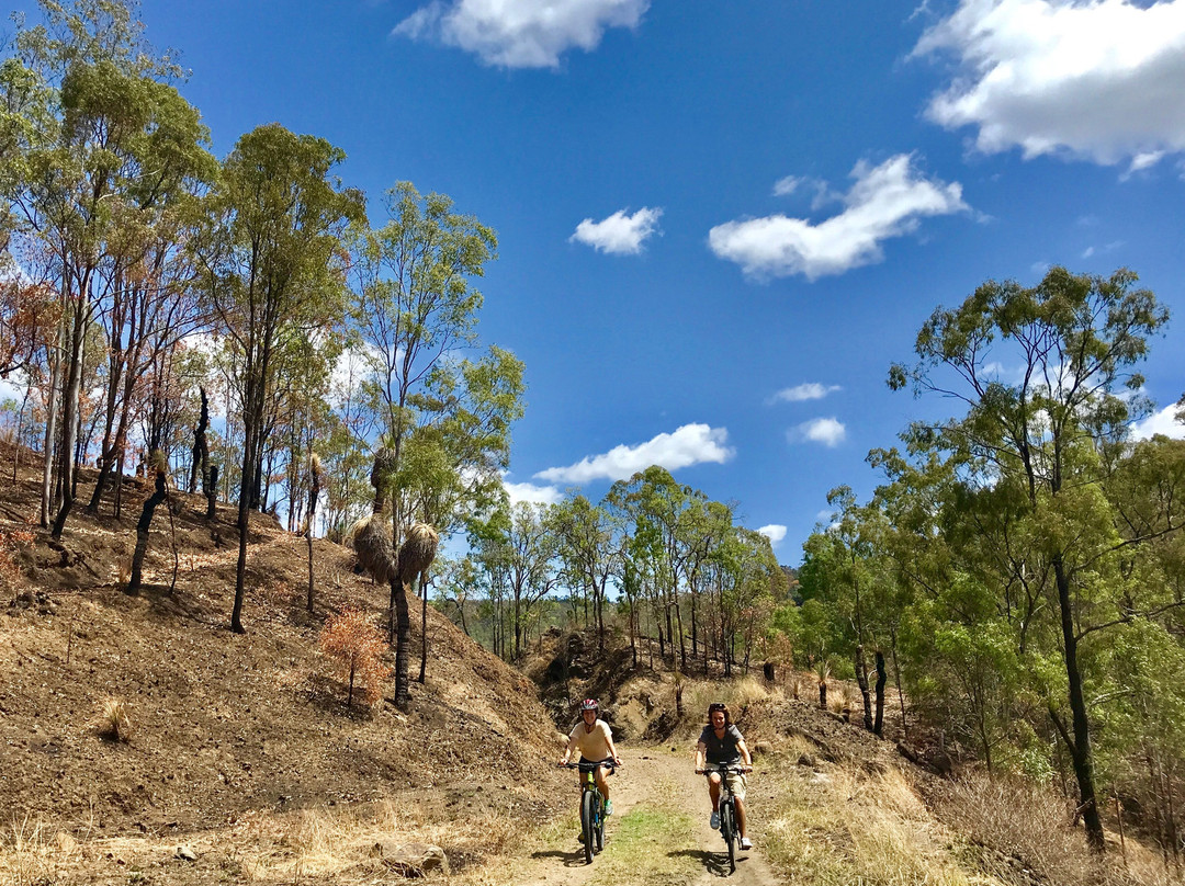 The Linville Hotel主图