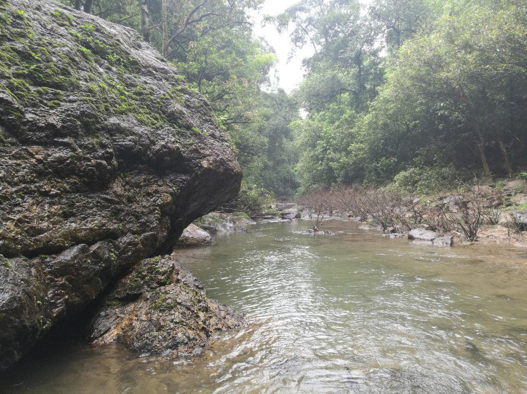 Si Phang Nga National Park-攀牙必去景点