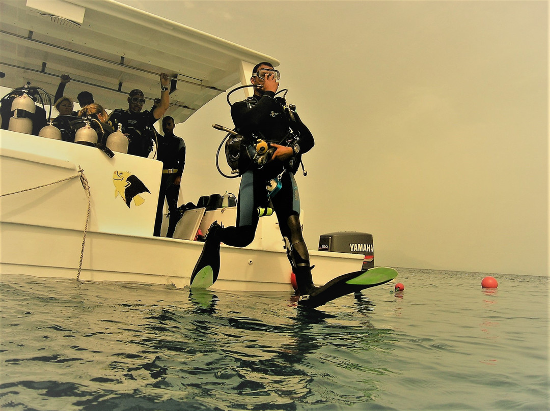 Diving Puerto Plata-普拉塔港必去景点