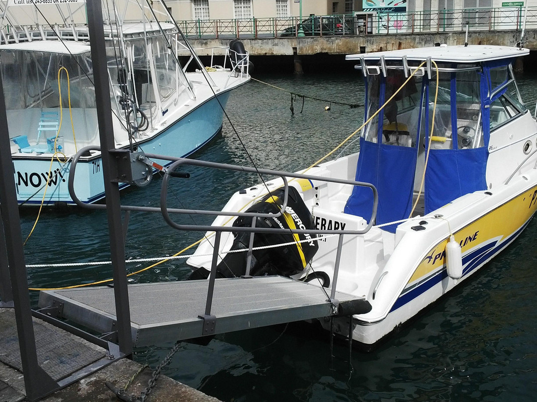 Therapy Charters-布里奇顿必去景点