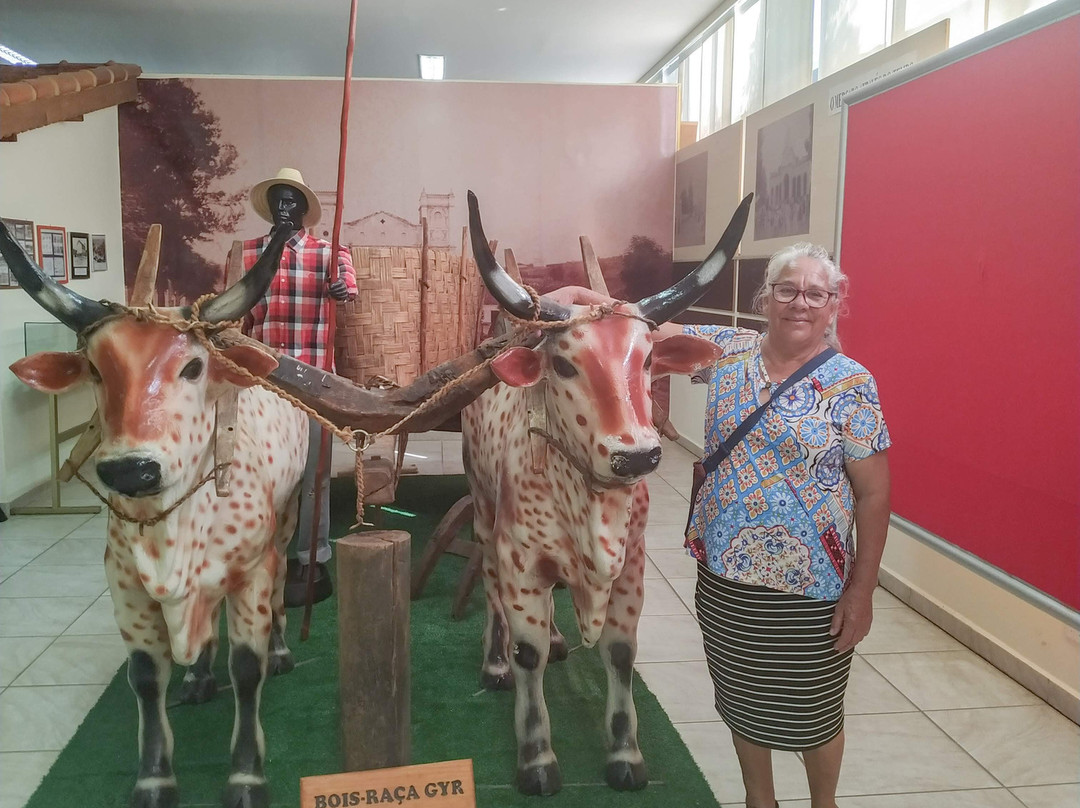Tuany Toledo Historic Municipal Museum-波苏阿雷格里必去景点