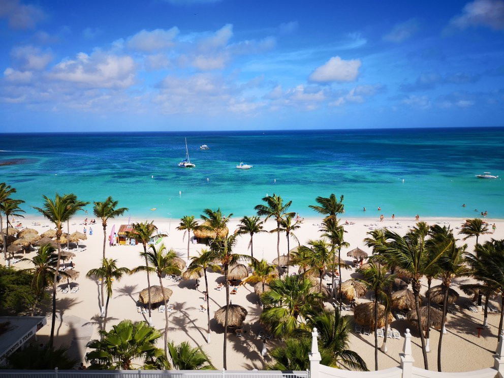 Palm Beach-棕榈/鹰海滩必去景点