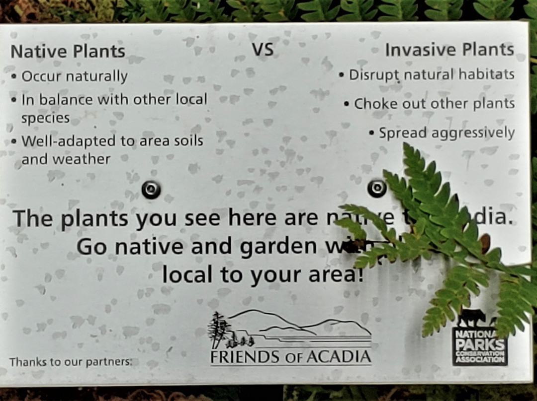 Wild Gardens of Acadia景点图片