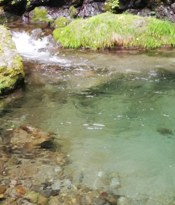 Mt. Kawanori-奥多摩町必去景点